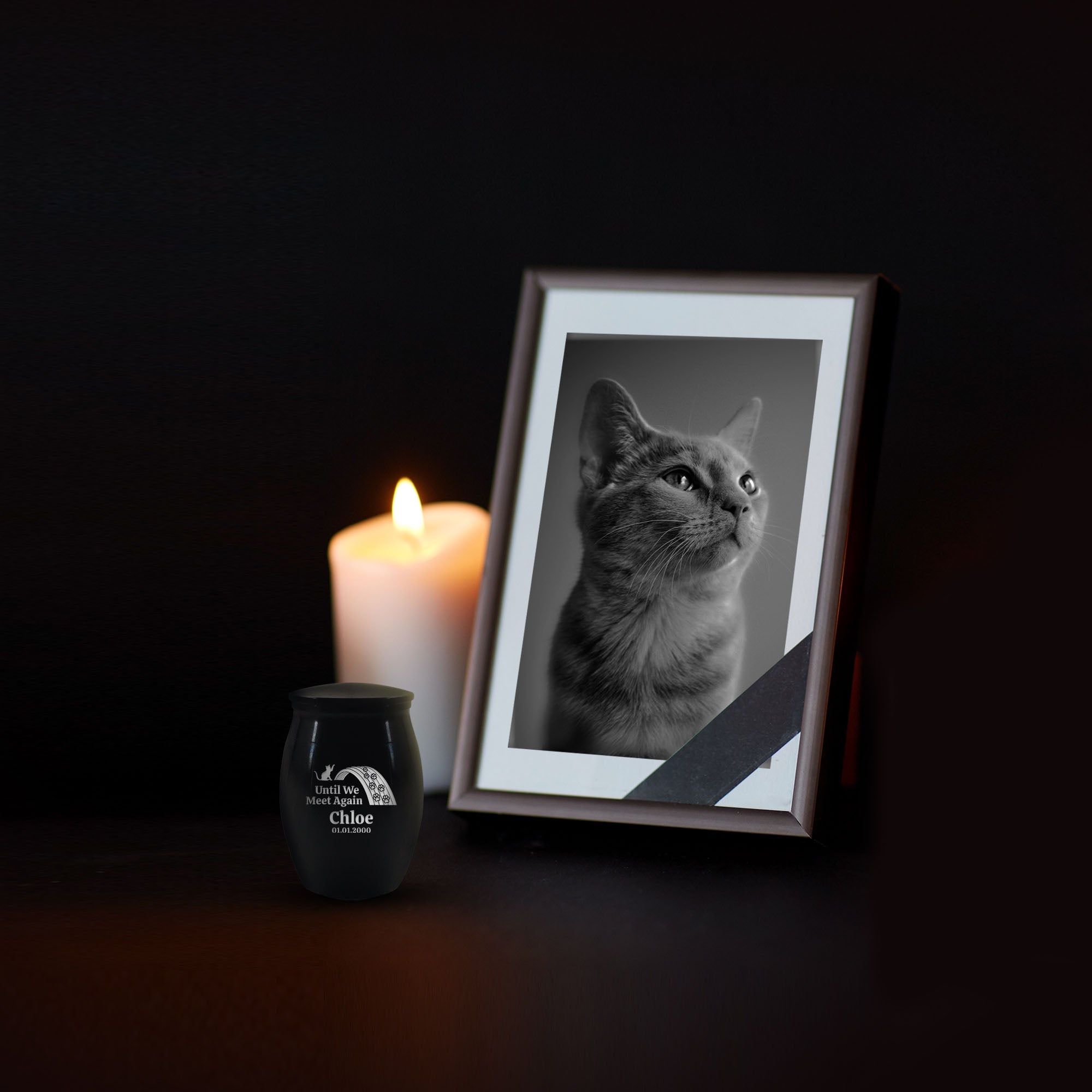 Personalized Custom Mini Keepsake Pet Cremation Urn for Cat